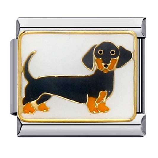 Charm Perro Dachshund Negro