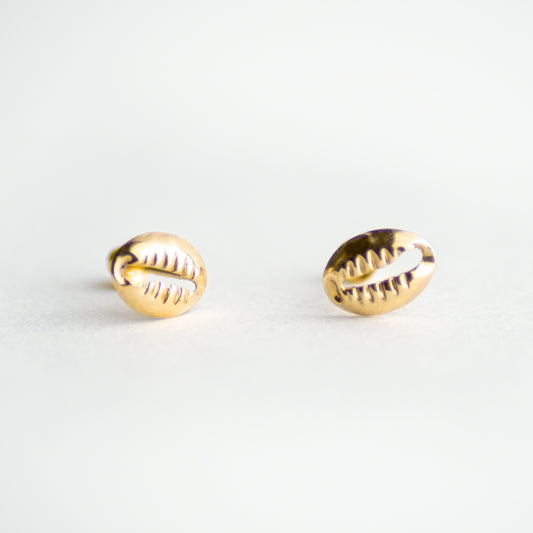 Broquel Almeja 10k par