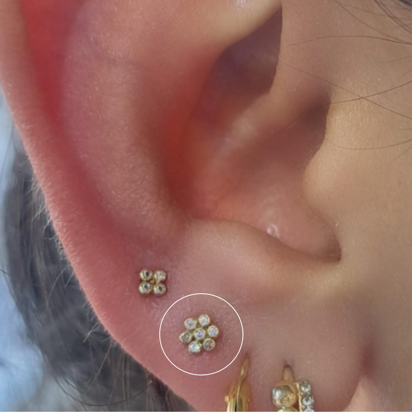 Rosetta Rosa oro 10k