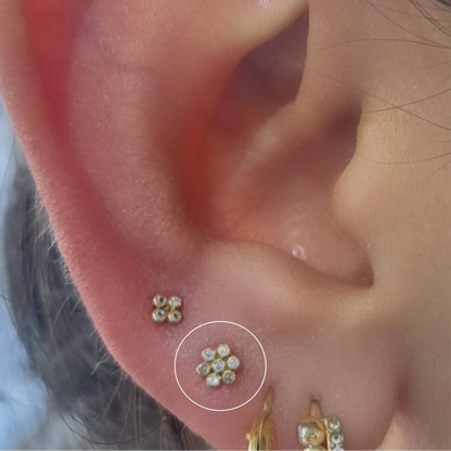 Rosetta Rosa oro 10k