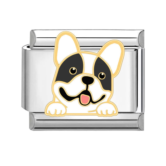 Charm French Bulldog
